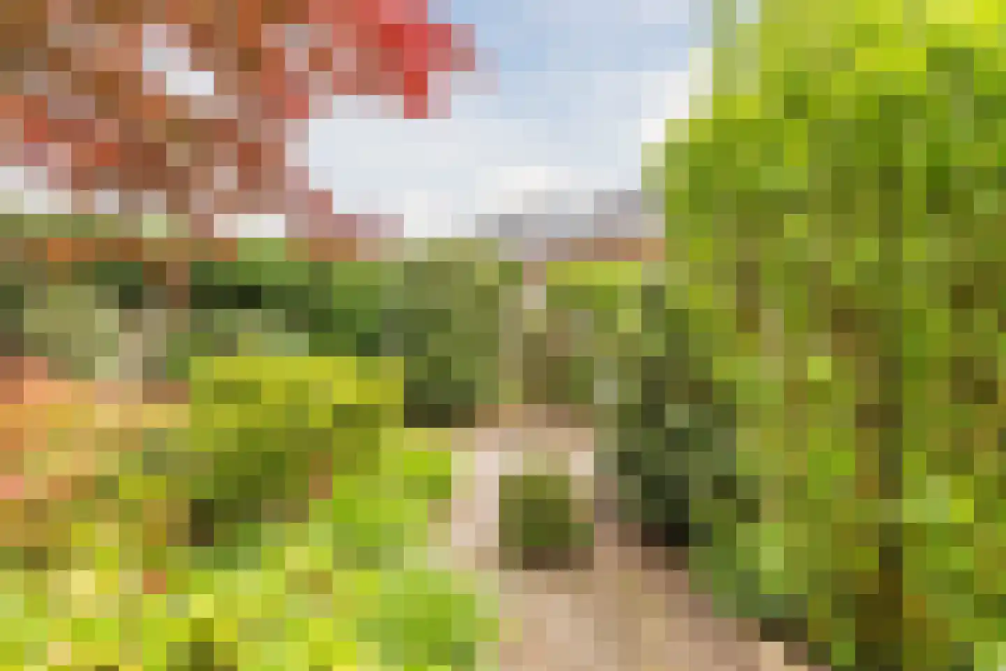 Mackenziestraat 19 Geldrop thumbnail 51
