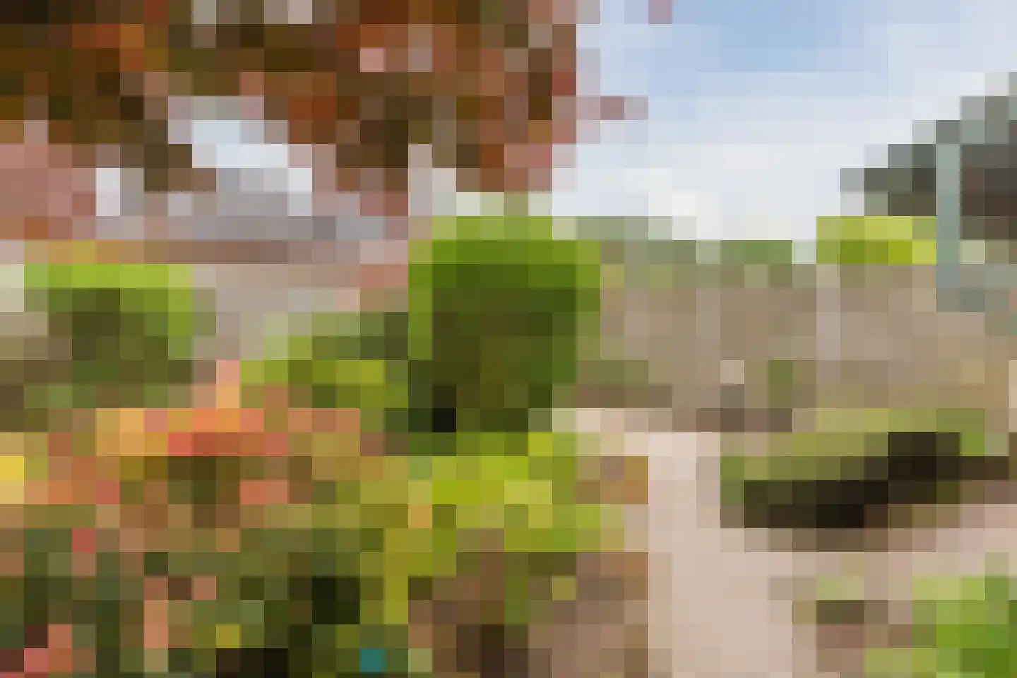 Mackenziestraat 19 Geldrop thumbnail 52