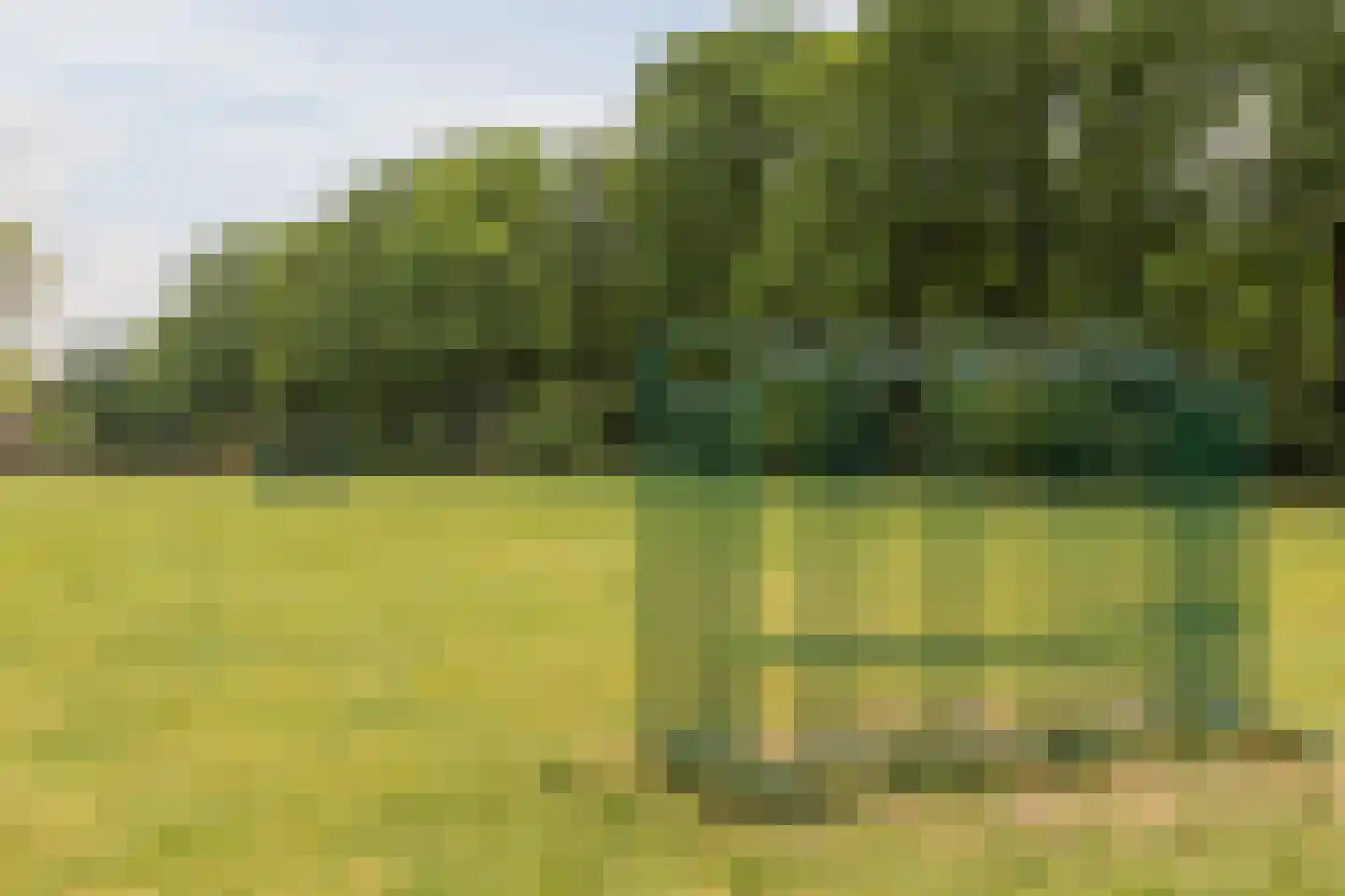 Mackenziestraat 19 Geldrop thumbnail 59