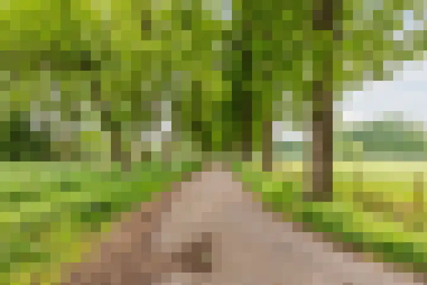 Mackenziestraat 19 Geldrop thumbnail 60