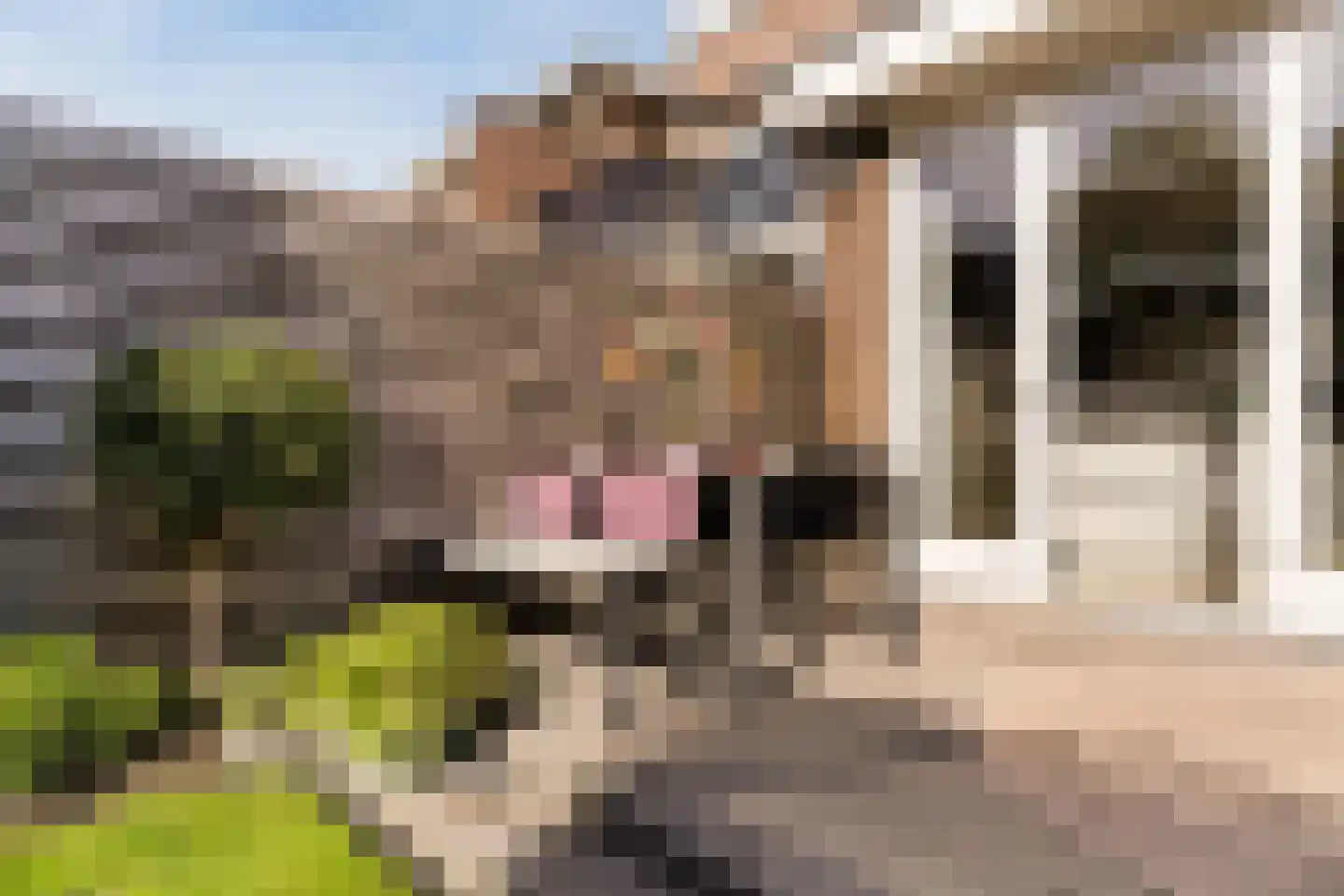 Maclaine Pontstraat 32 Alkmaar thumbnail 61