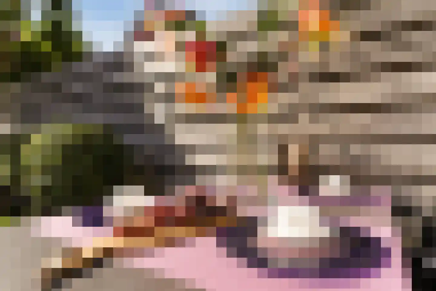 Maclaine Pontstraat 32 Alkmaar thumbnail 62