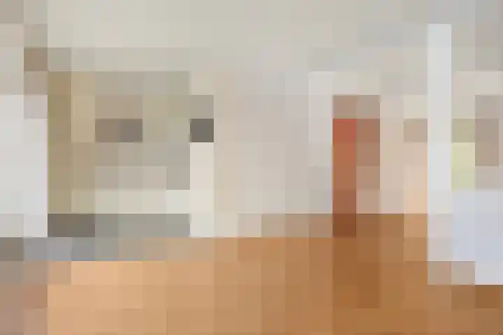 Maconlaan 26 Maastricht thumbnail 11