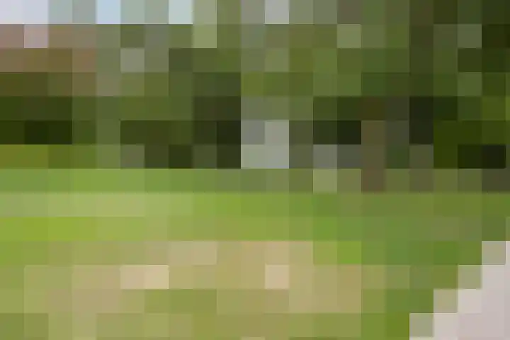 Maconlaan 26 Maastricht thumbnail 4