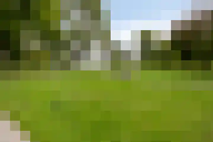 Maconlaan 26 Maastricht thumbnail 5