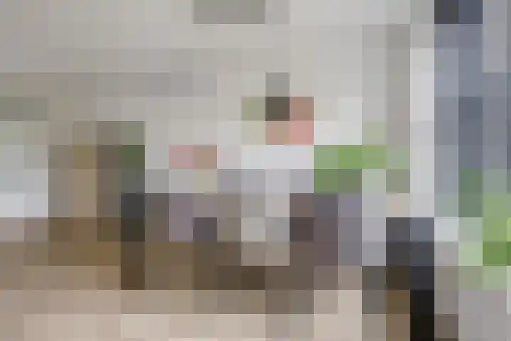 Macrinushof 11 Beuningen Gld thumbnail 13