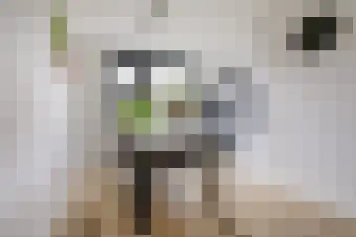 Macrinushof 11 Beuningen Gld thumbnail 15
