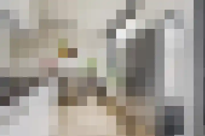 Macrinushof 11 Beuningen Gld thumbnail 16