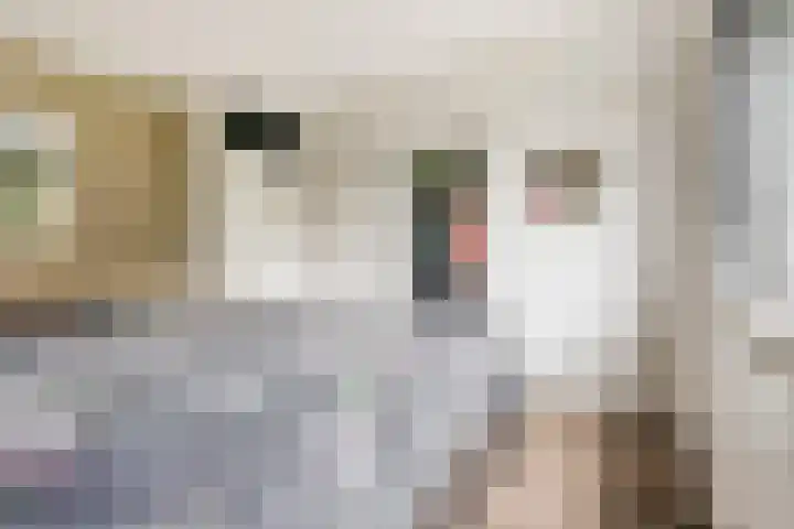 Macrinushof 11 Beuningen Gld thumbnail 22