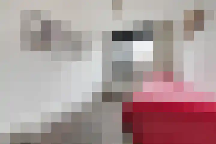 Macrinushof 11 Beuningen Gld thumbnail 26