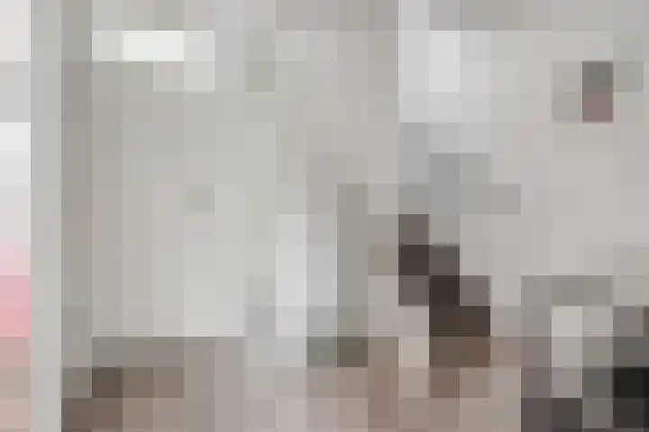 Macrinushof 11 Beuningen Gld thumbnail 31