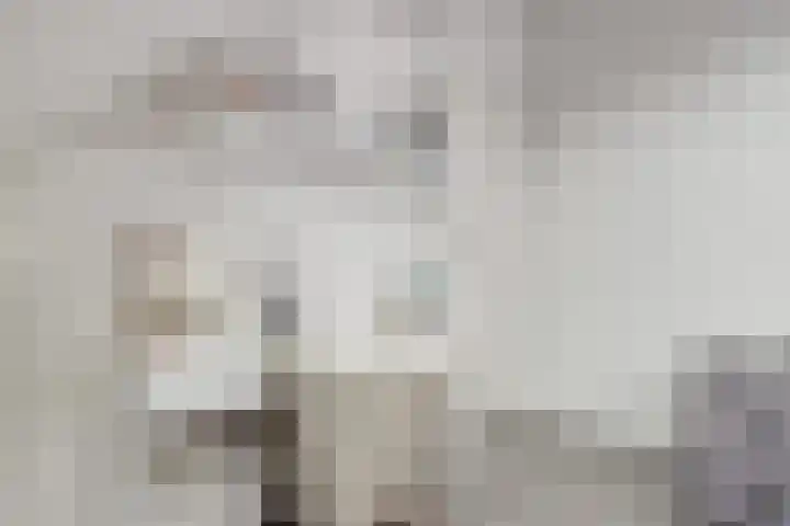 Macrinushof 11 Beuningen Gld thumbnail 36