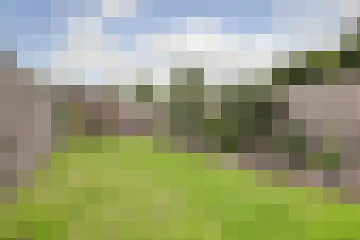 Macrinushof 11 Beuningen Gld thumbnail 40