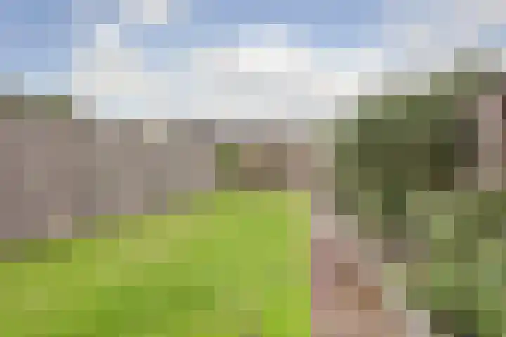 Macrinushof 11 Beuningen Gld thumbnail 41