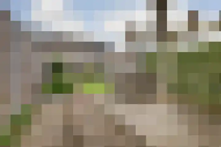 Macrinushof 11 Beuningen Gld thumbnail 42