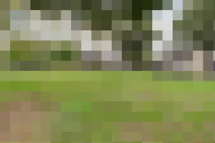 Macrinushof 11 Beuningen Gld thumbnail 47