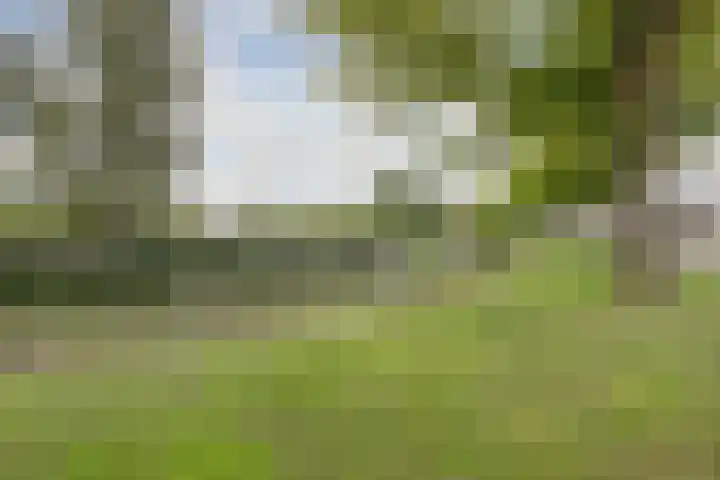 Macrinushof 11 Beuningen Gld thumbnail 48