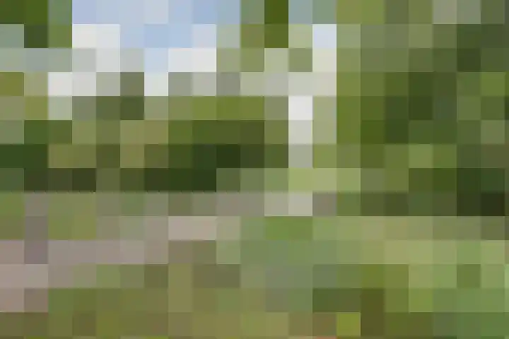 Macrinushof 11 Beuningen Gld thumbnail 49