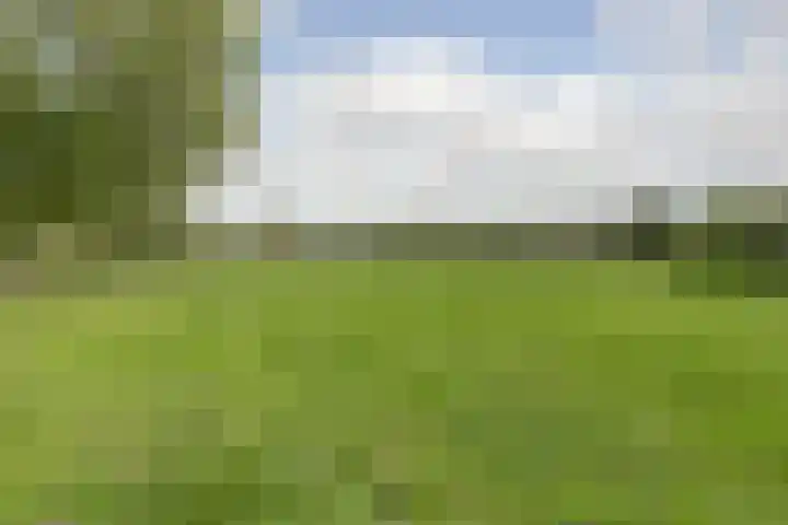 Macrinushof 11 Beuningen Gld thumbnail 50