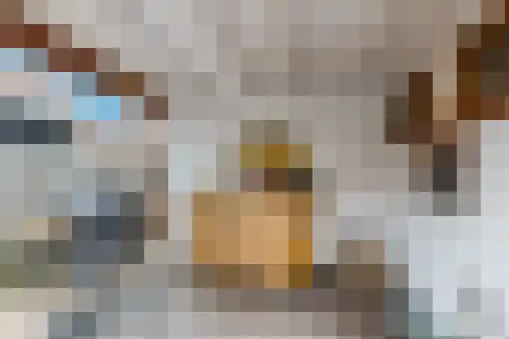 Madagaskar 3 Zaandam thumbnail 53