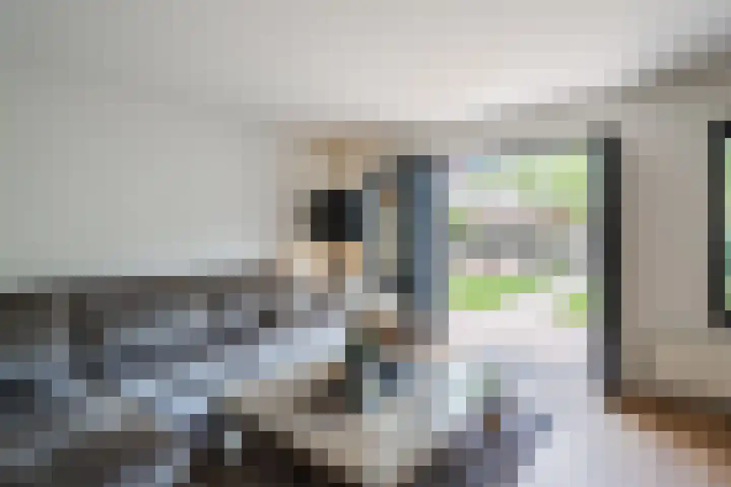 Madagaskar 9 Zaandam thumbnail 14