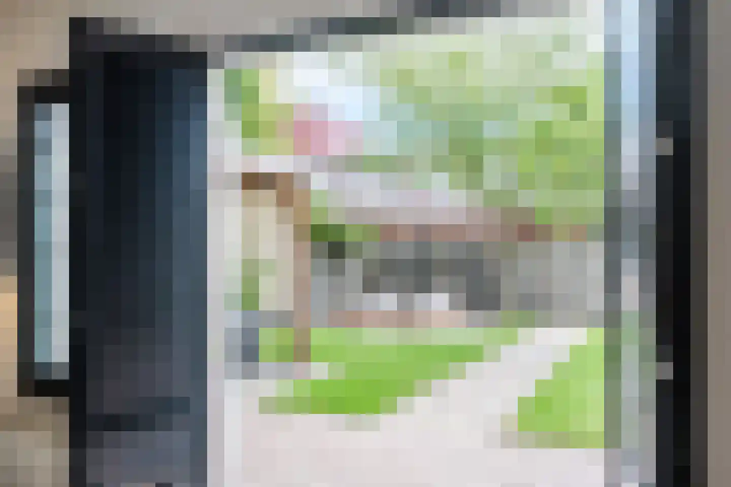 Madagaskar 9 Zaandam thumbnail 17
