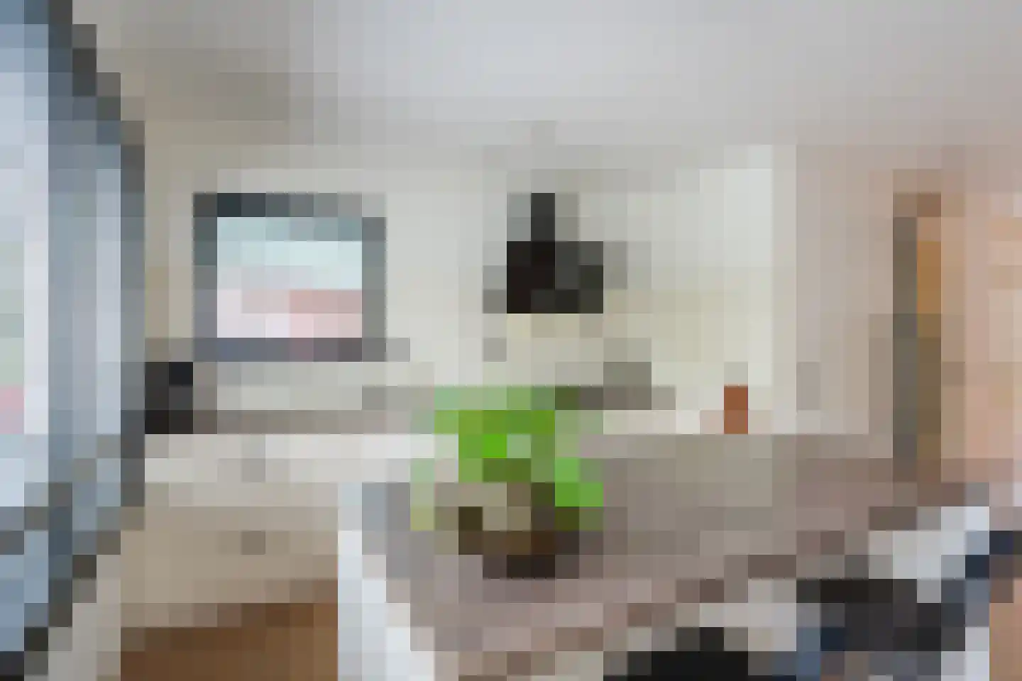 Madagaskar 9 Zaandam thumbnail 22