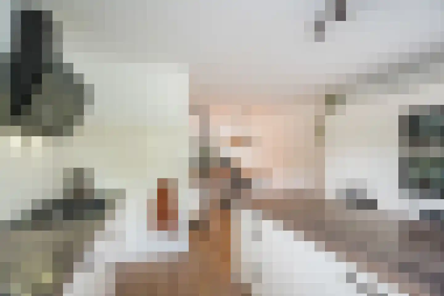 Madagaskar 9 Zaandam thumbnail 24