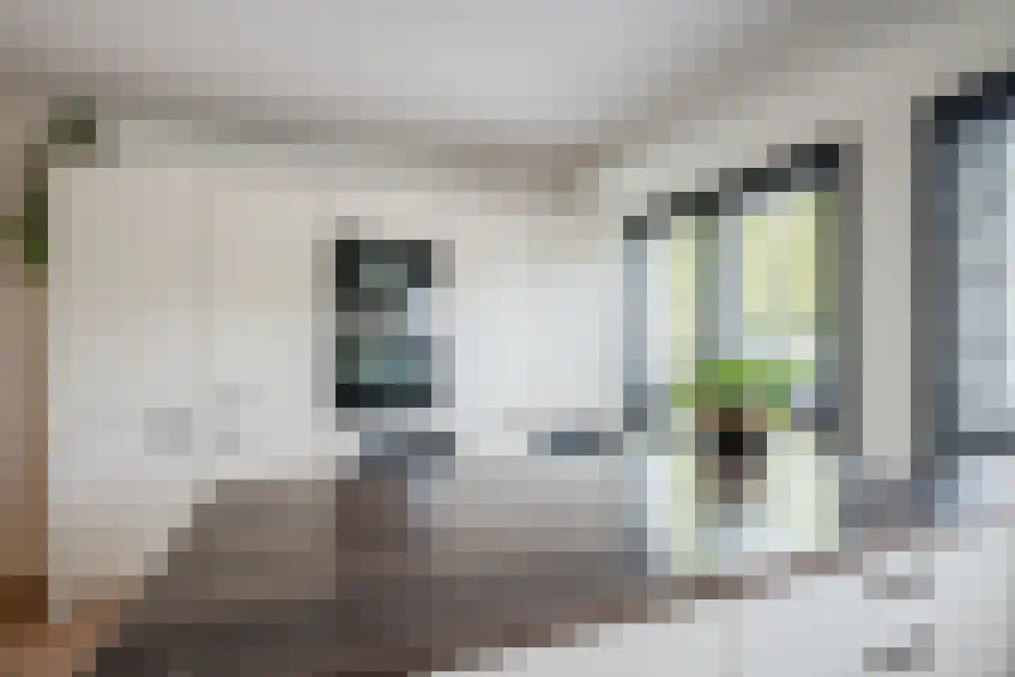 Madagaskar 9 Zaandam thumbnail 25