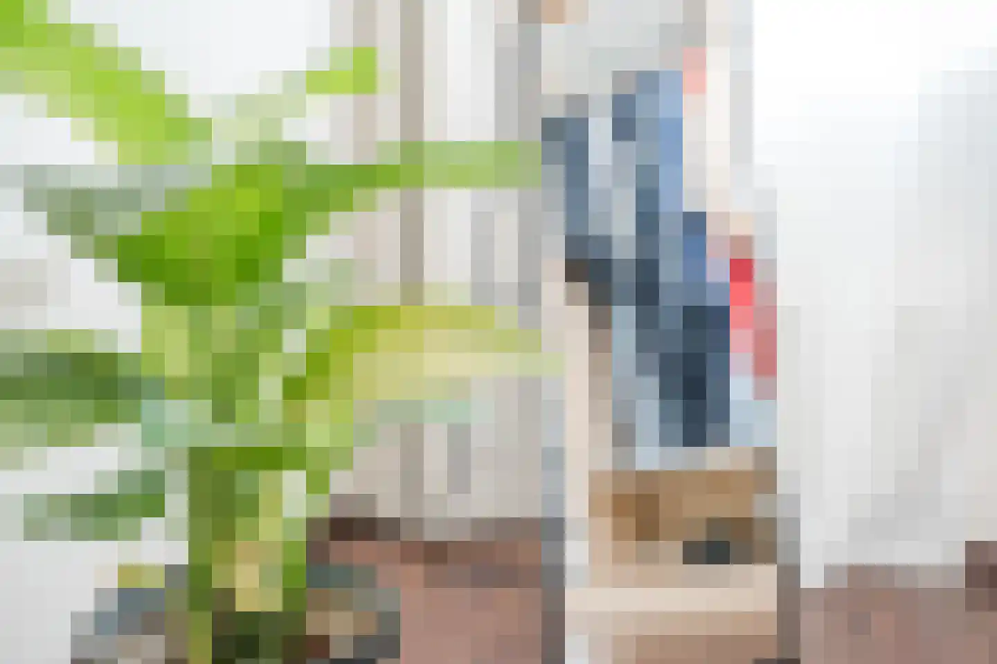 Madagaskar 9 Zaandam thumbnail 37