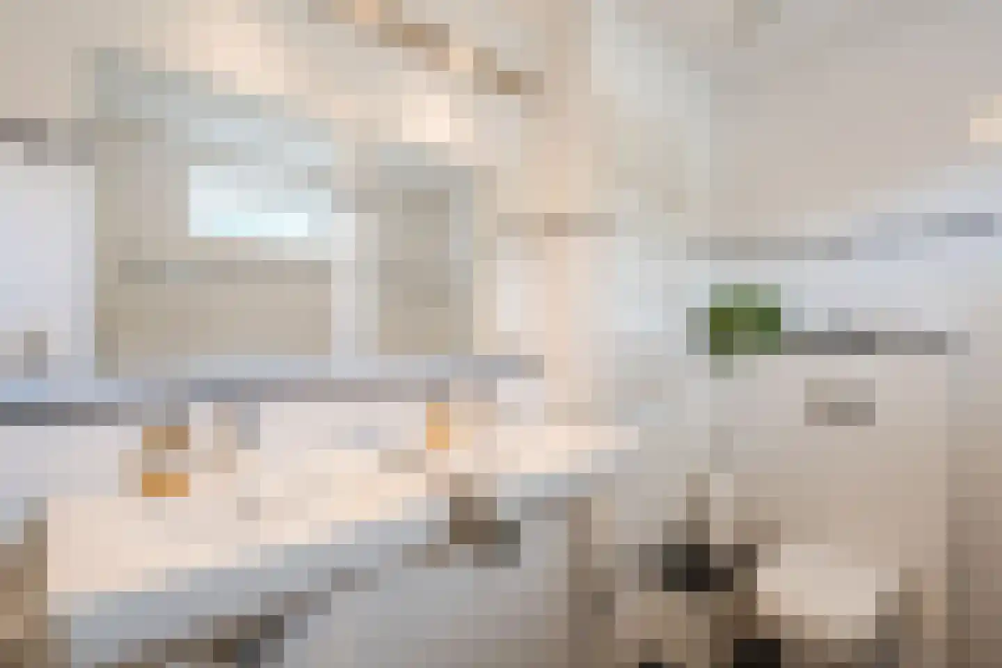 Madagaskar 9 Zaandam thumbnail 43