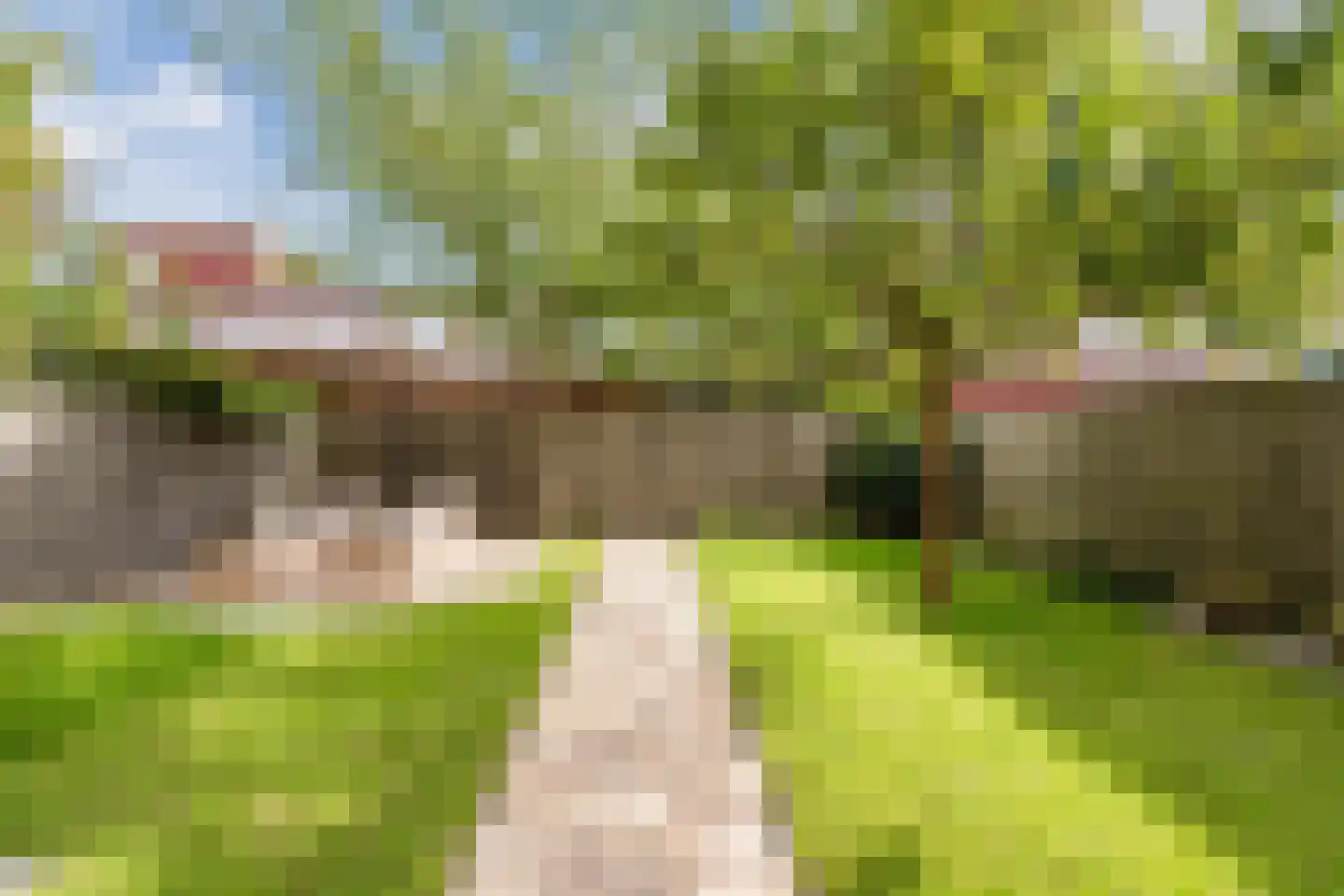 Madagaskar 9 Zaandam thumbnail 47