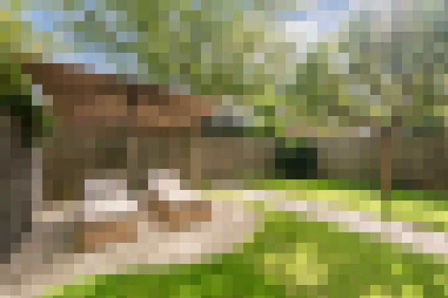 Madagaskar 9 Zaandam thumbnail 48