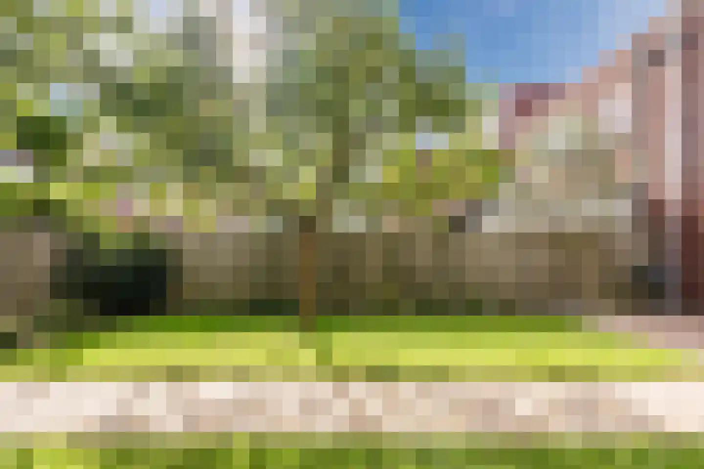 Madagaskar 9 Zaandam thumbnail 49