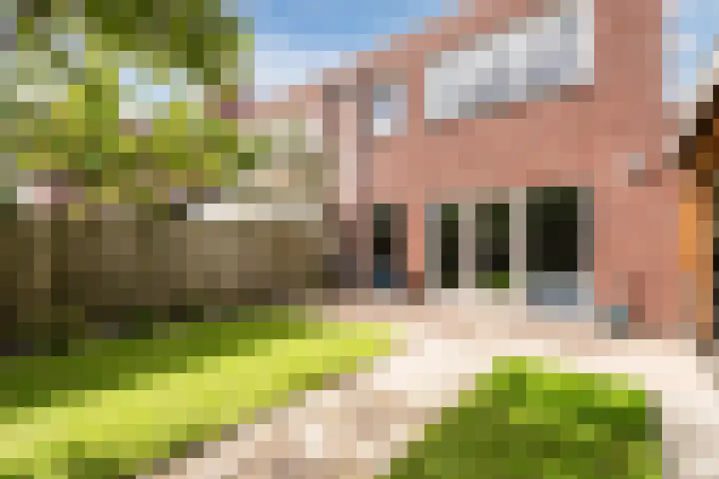Madagaskar 9 Zaandam thumbnail 50