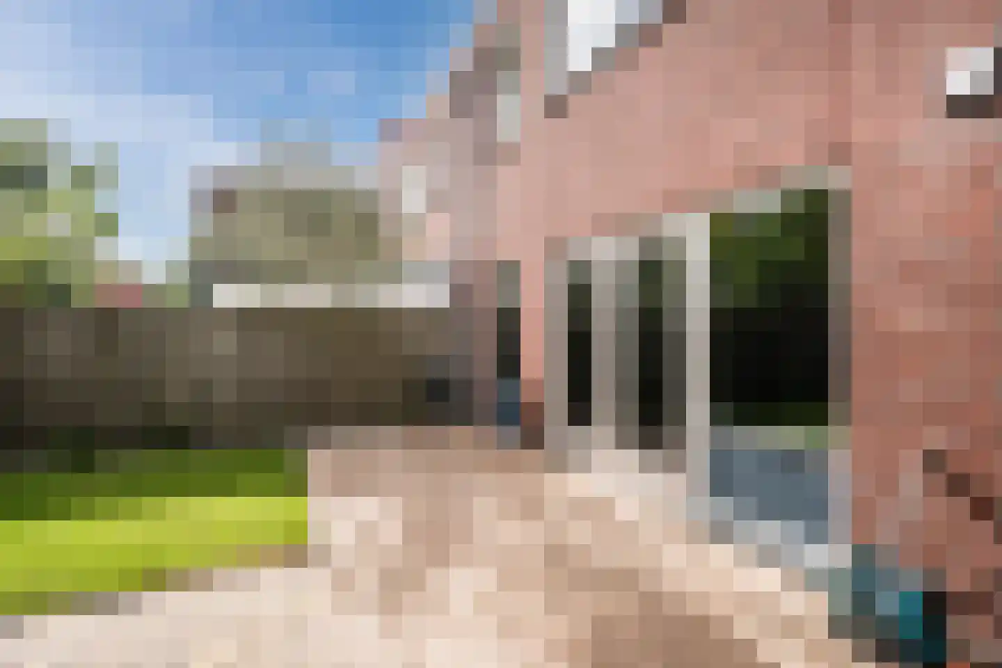Madagaskar 9 Zaandam thumbnail 52