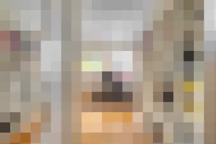 Madagaskarstraat 21 Almere thumbnail 33