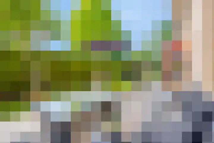 Madagaskarstraat 21 Almere thumbnail 38