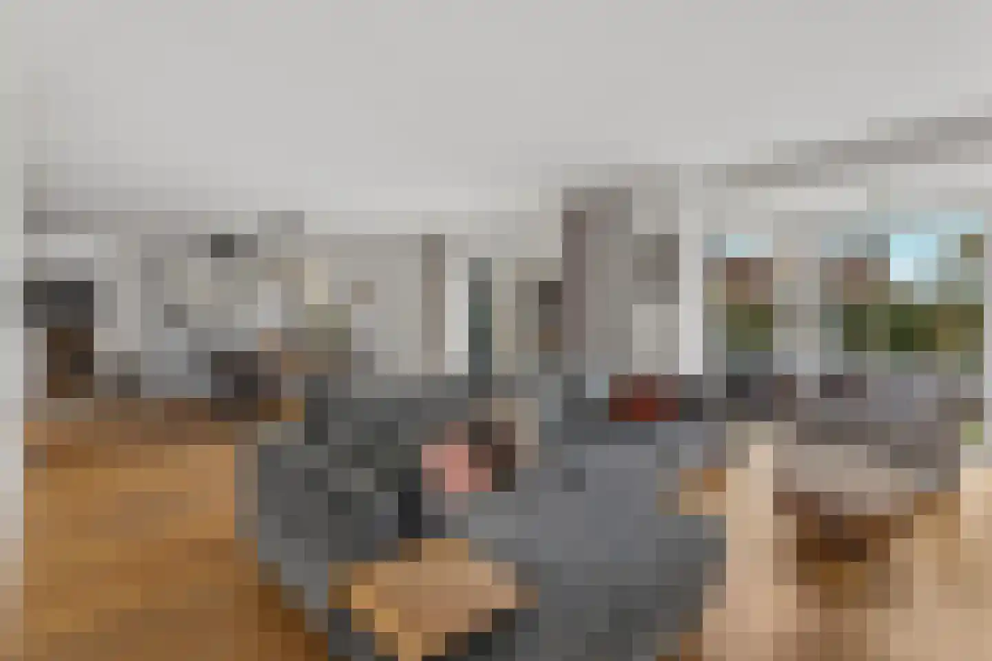 Madagaskarstraat 4 Almere thumbnail 20