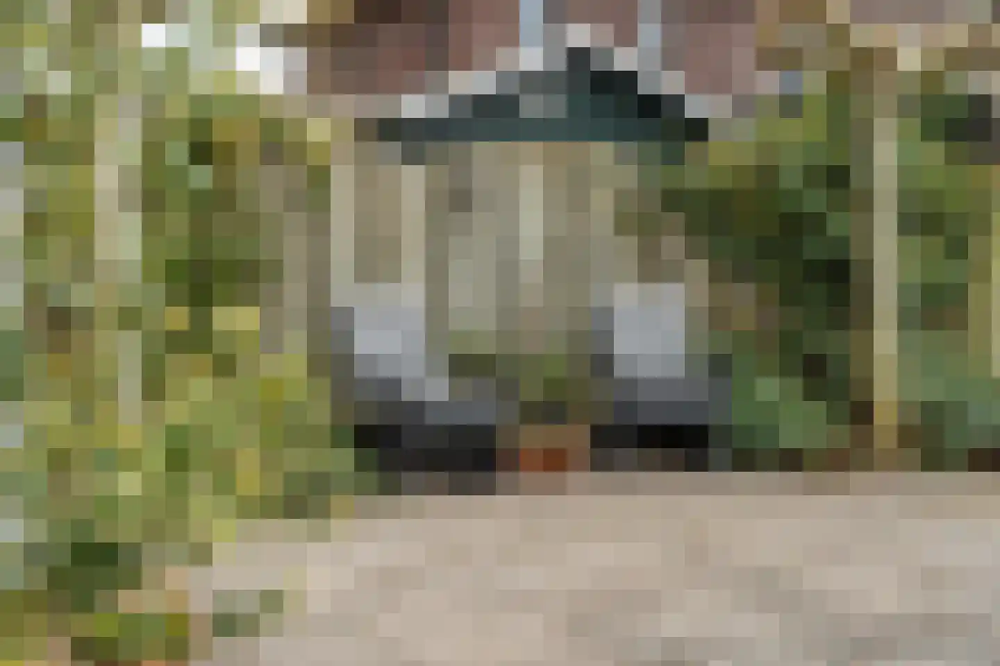 Madagaskarstraat 4 Almere thumbnail 52
