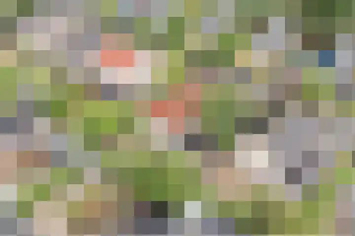Madagaskarstraat 8 Almere thumbnail 84