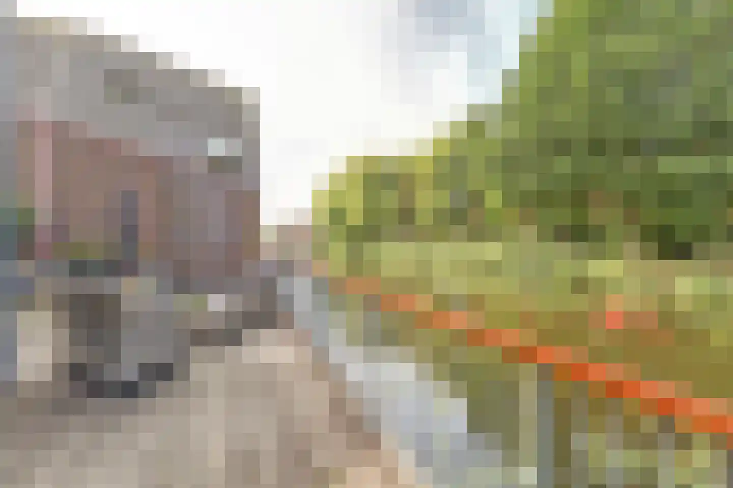 Madagaskarstraat 9 Almere thumbnail 17