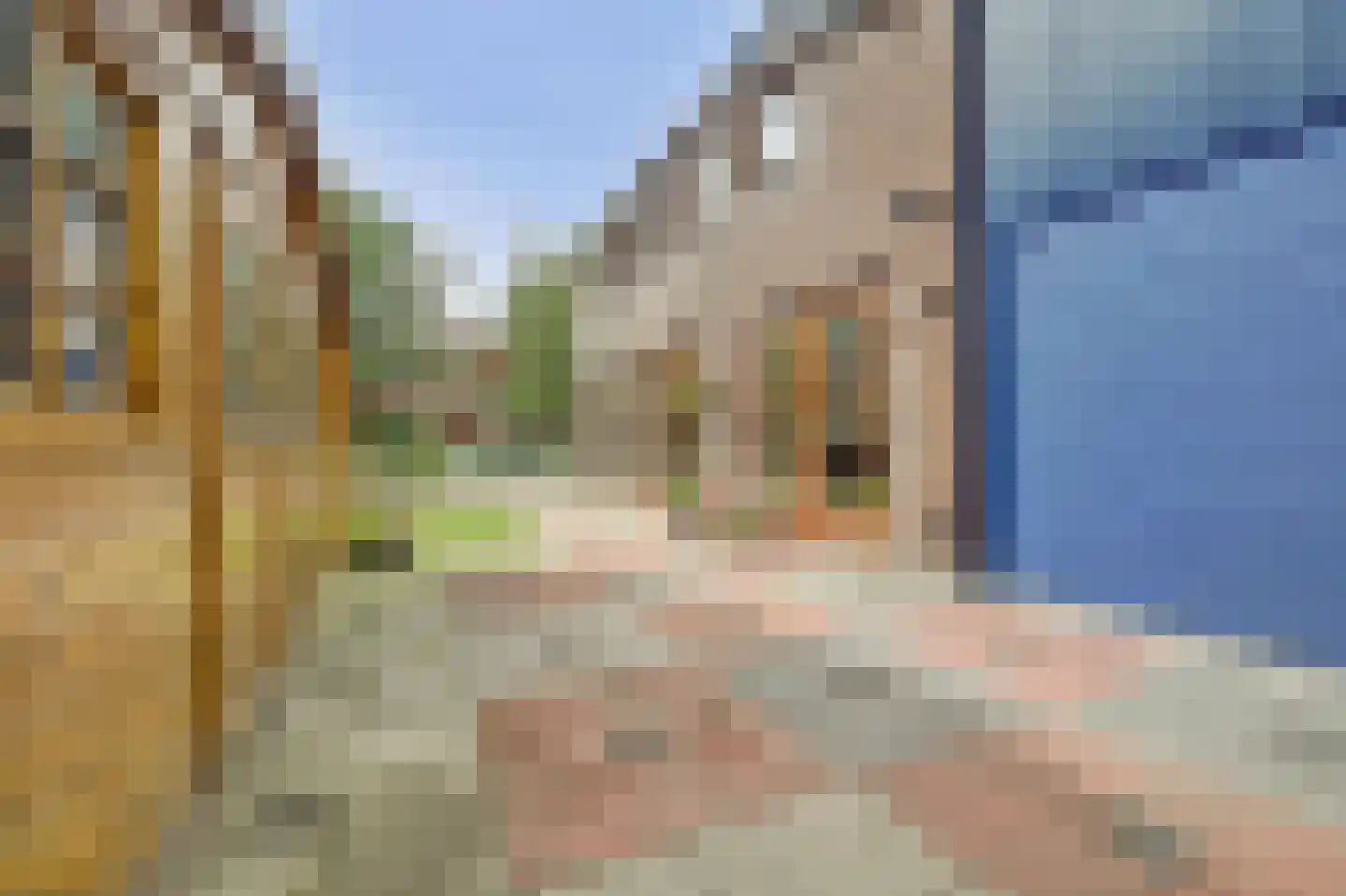 Madagaskarstraat 9 Almere thumbnail 31
