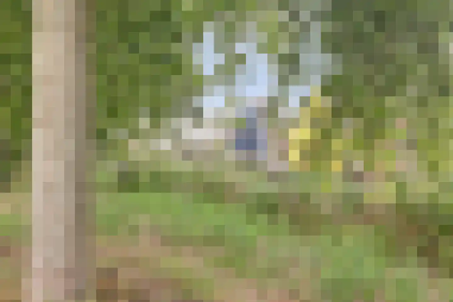 Madagaskarstraat 9 Almere thumbnail 33