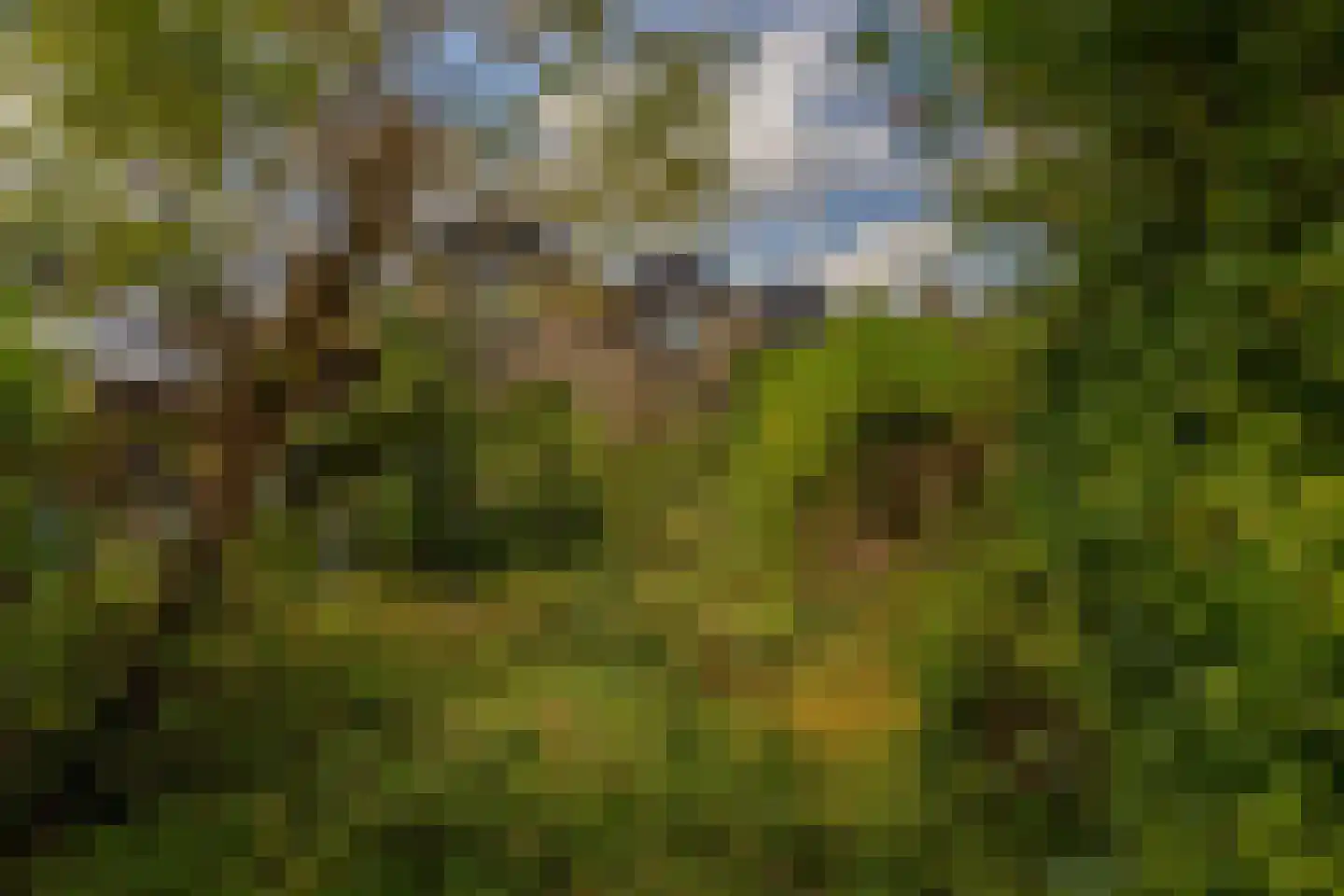Madame Curiehof 14 Schoonhoven thumbnail 17