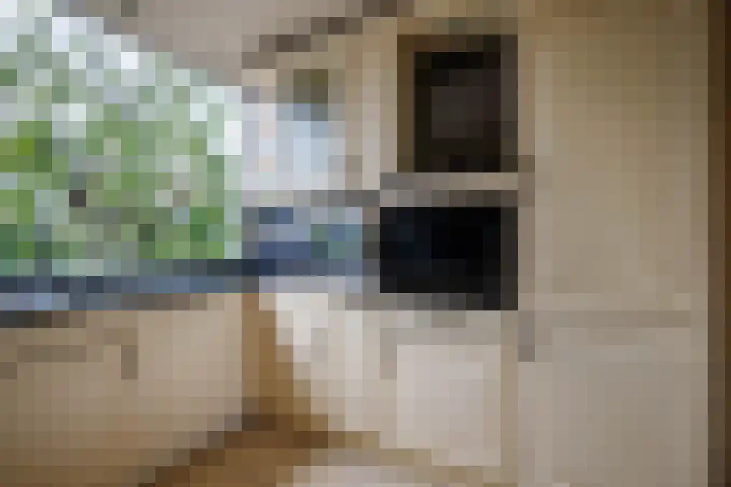Madame Curiehof 15 Schoonhoven thumbnail 14
