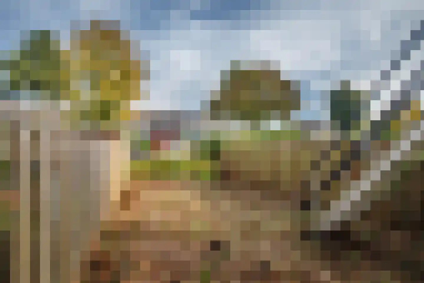 Madame Curiehof 15 Schoonhoven thumbnail 24