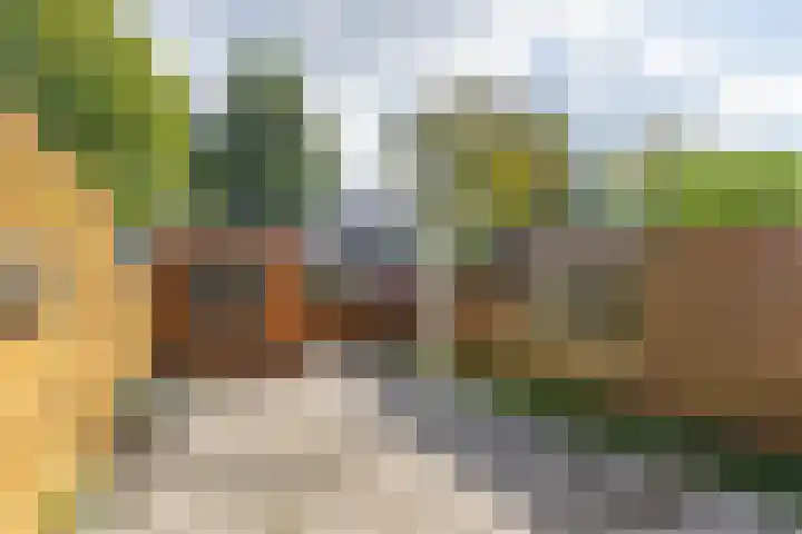 Madame Curiehof 29 Schoonhoven thumbnail 13