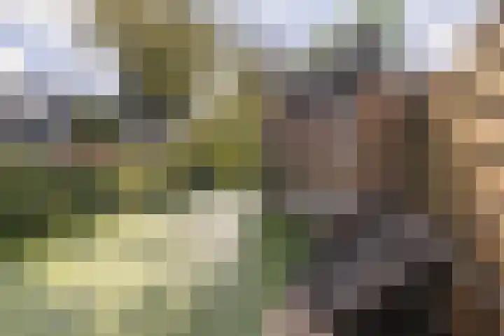 Madame Curiehof 29 Schoonhoven thumbnail 15