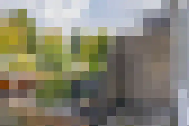 Madame Curiehof 29 Schoonhoven thumbnail 19